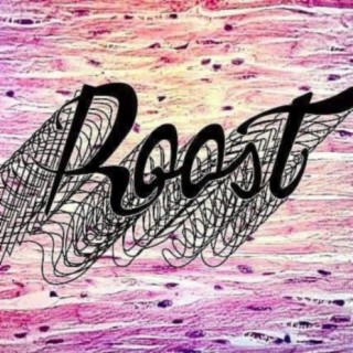 Roost