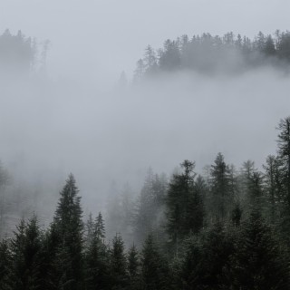 mist cover art