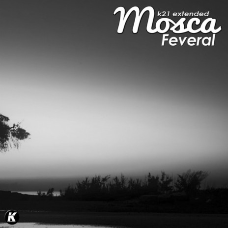 Feveral (K21extended version) cover art