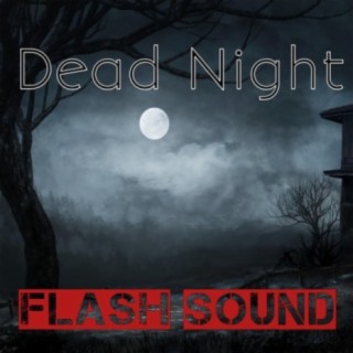 Flash Sound