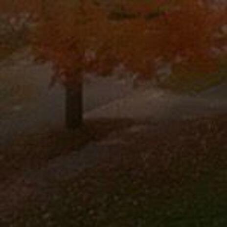 Fall cover art