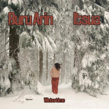 Wintertime ft. Buru Arin cover art