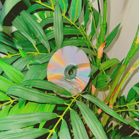 broken_hard_drives.flp cover art