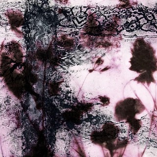 love chasing cover art