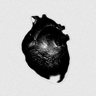 I Don't Wanna Fall in Love cover art