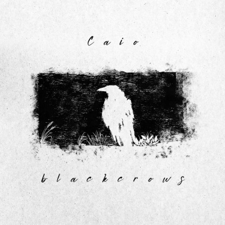 Blackcrows cover art