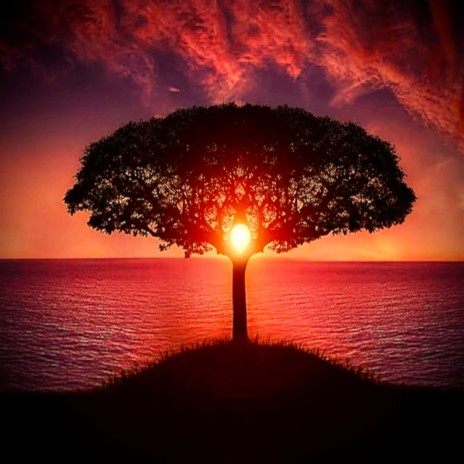 Tree of life cover art