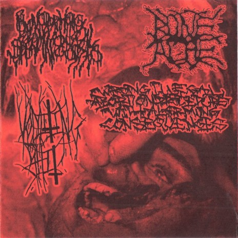 Pelvic Splanchnic Nerves cover art