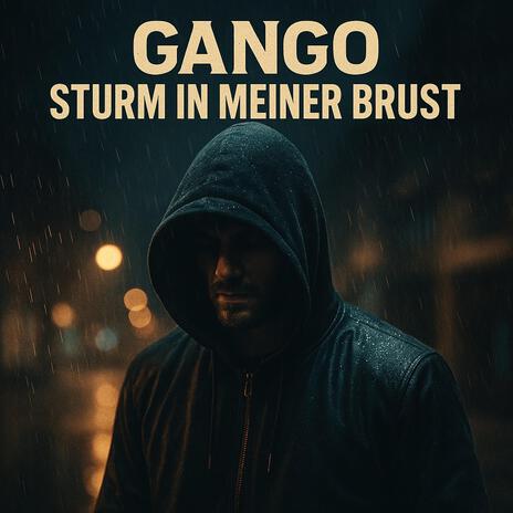 Sturm in meiner Brust cover art
