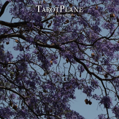 Tormenta de colibríes
