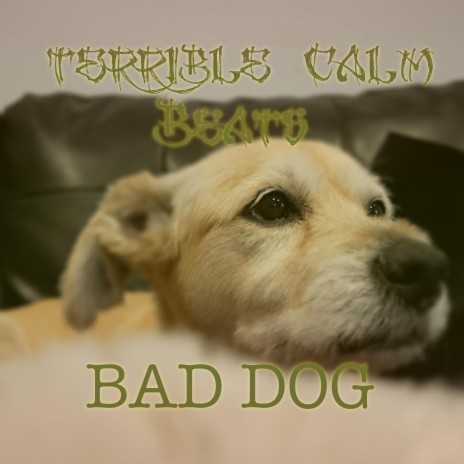 Bad Dog cover art