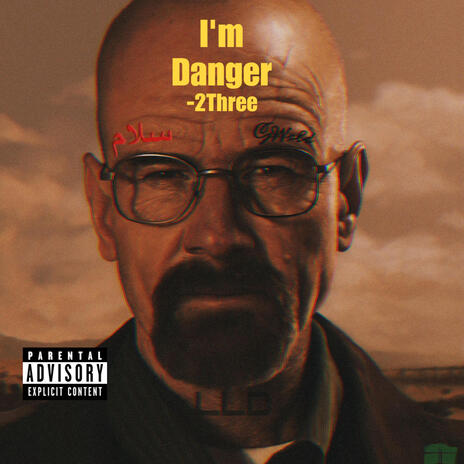 Im Danger cover art