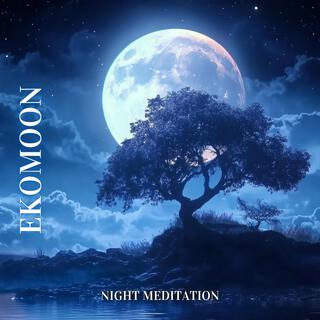 Night Meditation Sleep