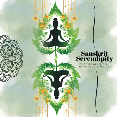 Traditional Wellness cover art