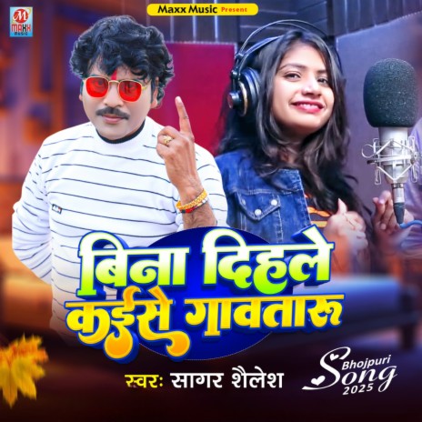 Bina Dihale Kaise Gawataru cover art