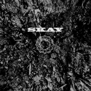 TOYLAYYEX