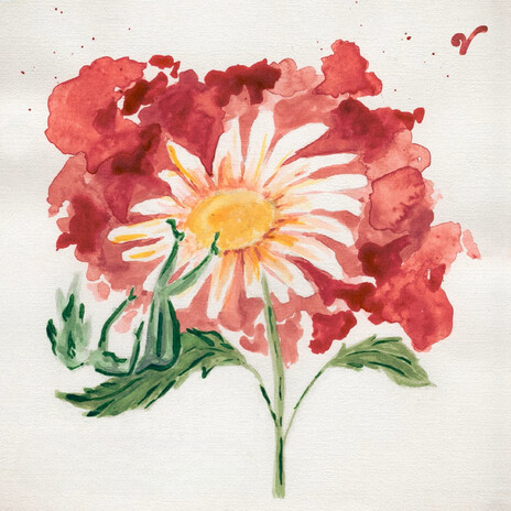Whispers on Vinyl cover art