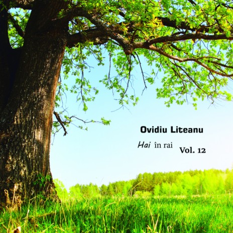 Mulțumesc Isus cover art