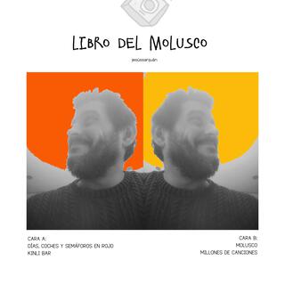 Libro del molusco