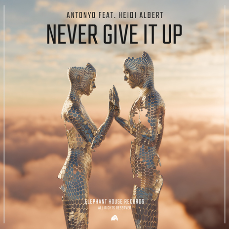 Never Give It Up (feat. Heidi Albert) cover art