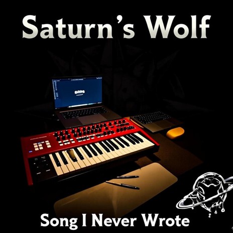 Song I Never Wrote cover art