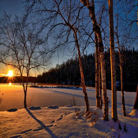 Summer in the winter cover art