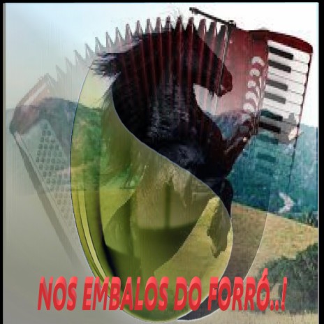 NOS EMBALOS DO FORRÓ