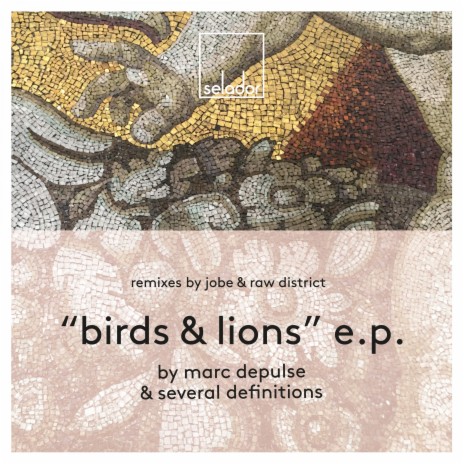 Birds (Orginal Mix) ft. Several Definitions cover art