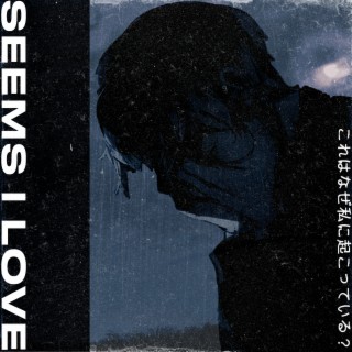Seems I Love cover art