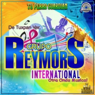 Grupo Reymors International