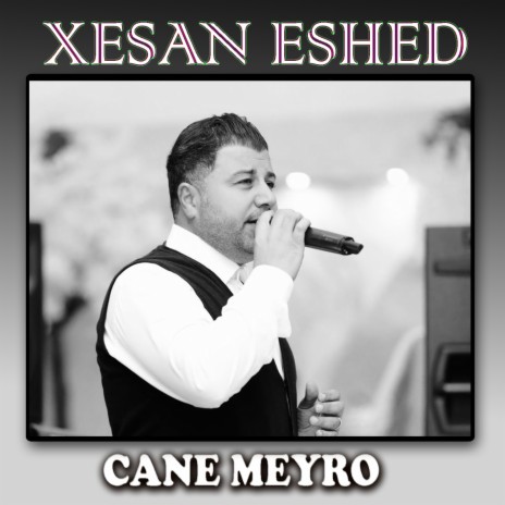 Cane Meyro cover art
