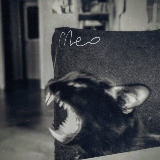 MEO