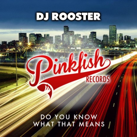 Do You Know What That Means (Funky Truckerz Remix) cover art