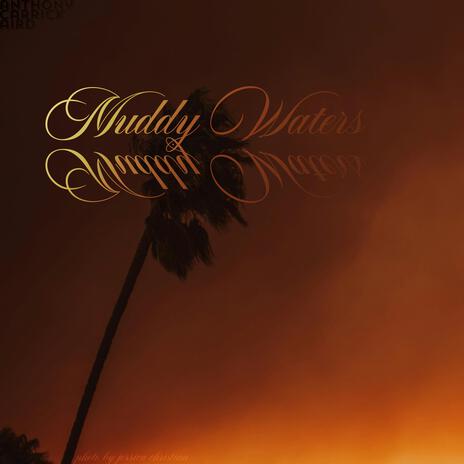 Muddy Waters cover art