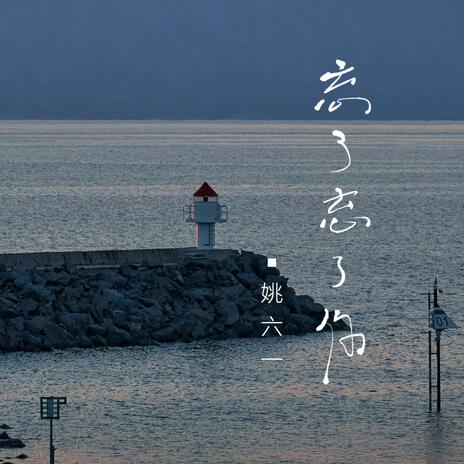 忘了忘了你 cover art