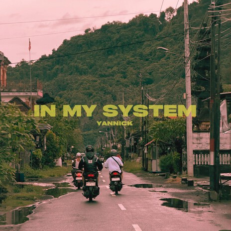 IN MY SYSTEM cover art