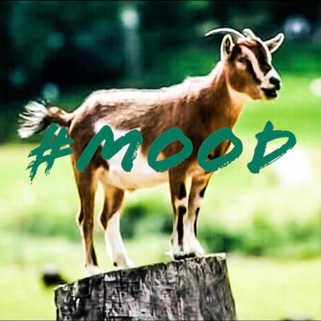G.O.A.T. $hit cover art