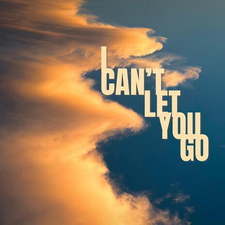I Can't Let You Go cover art
