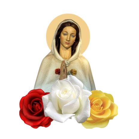 Rosa Mística: Oração, Sacrifício e Penitência cover art