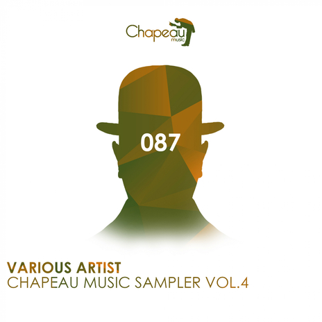 With The Funk (Original Mix) cover art