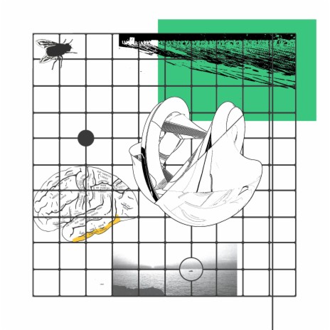 Dissonanza Cognitiva cover art