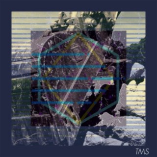 TMS