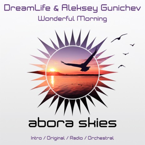 Wonderful Morning (Orchestral Mix) ft. Aleksey Gunichev cover art
