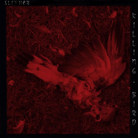 Killing Bird cover art
