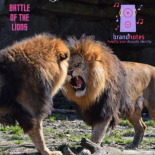 Battle of the Lions cover art