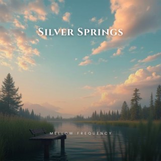 Silver Springs
