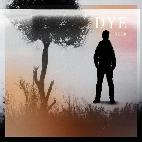 DYE cover art