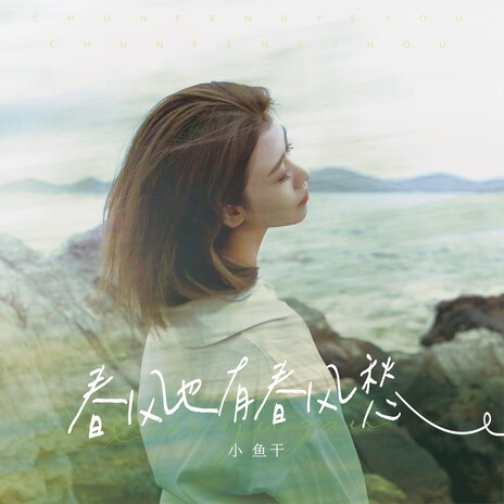 春风也有春风愁（DJ版） cover art