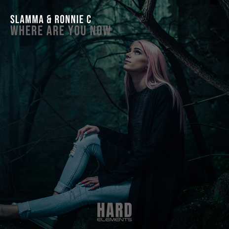 Where Are You Now (Extended Mix) ft. Ronnie C cover art