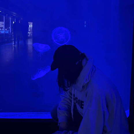 insomnia cover art